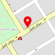 نمایندگی انحصاری کفش اسکچرز