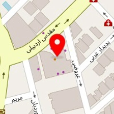 نمایندگی پوشاک اسکیچرز شعبه پالادیوم