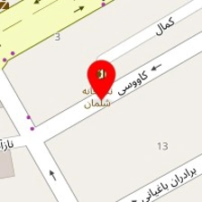پیشگامان ورزش