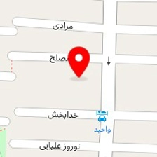 پرده سرای نادی