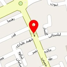 گالری پرده الینا