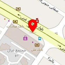 پوشاک سیلور