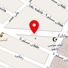 فروشگاه روکش اتومبیل آمره ای