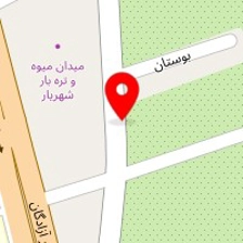 شیشه سکوریت اریا جام