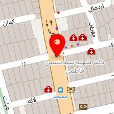 شرکت ویس پروفیل ایرانیان
