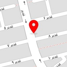 خدمات کامپیوتری رایا