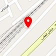اینترنت دلفین