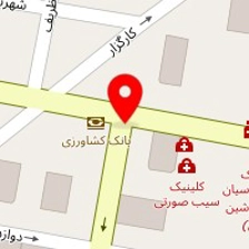 شرکت بازرگانی تصویر