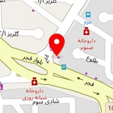 خدمات کامپیوتر رایکا