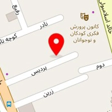 ساینا ارتباط پژواک