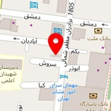 همراه سیستم طلایه