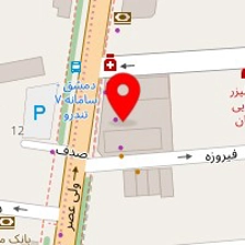 خدمات در محل لیون کامپیوتر
