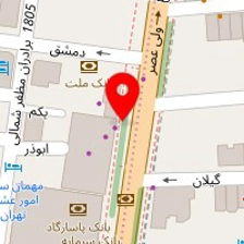 رادیکال سیستم