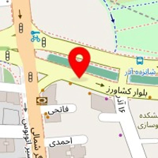 سناتور، شرکت