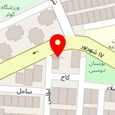 کار در منزل با گوشی