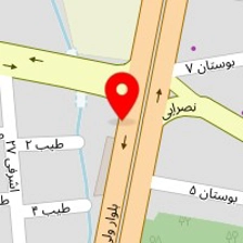 لیتوگرافی شایگان