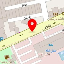 شایان گستر