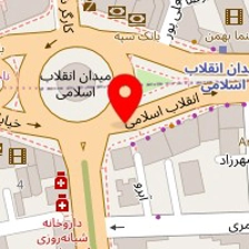 موسسه پل دانش