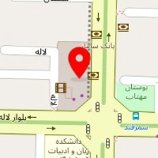 پت شاپ دکتر وودی
