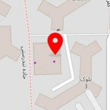 پت شاپ سون