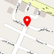 پت شاپ پرشین 