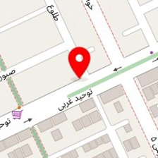 ثمین پت