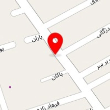 الی پت