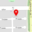 پرطلایی