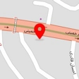 خرید و فروش انواع پرندگان خانگی مهاجر