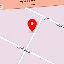 گروه تدی پت
