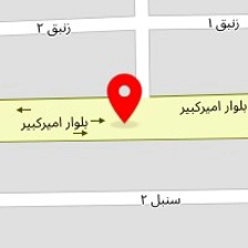 تامی پت
