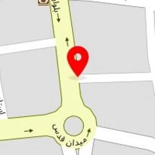 دانه مرغی امیرحسین