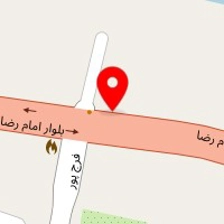 پت شاپ دینگو