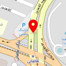 توکسین بایندر تک جزئی