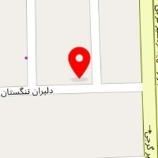 مجموعه پرندگان زینتی ققنوس شهر