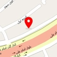 کلینیک حیوانات خانگی و پت شاپ استادان