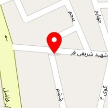 ادی پت