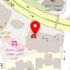 پت شاپ پاپی کو