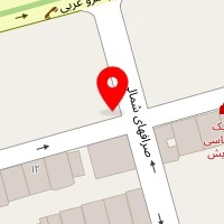 پت شاپ پیشی