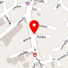 پت شاپ و دامپزشکی آویژه