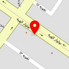 مزون لیدی