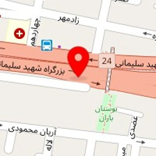 مزون اس جی