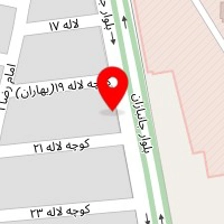 ویتامینه آیس پک