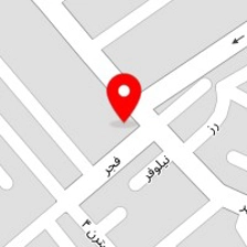 پوریا باقری