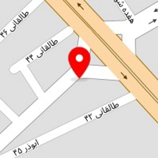 غذای بیرون بر نخل