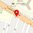 سام برگر