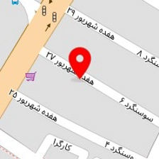 غذای خانگی زنان سبز