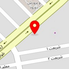 رستوران دلفین