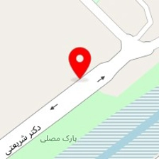 فست فود آفرین