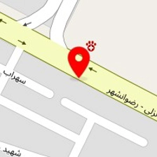 بریانی پاچینوویچ